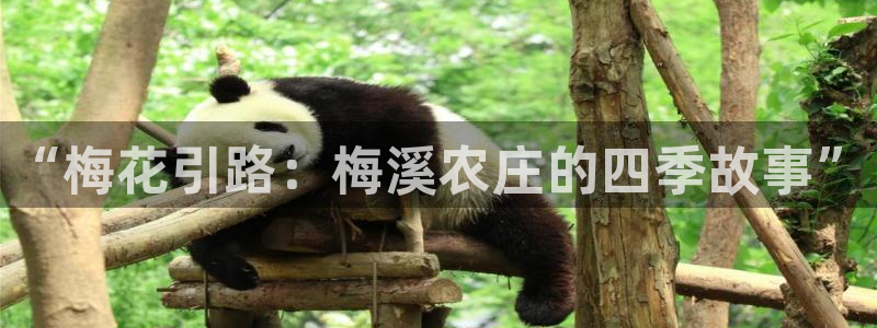 天辰娱乐测试