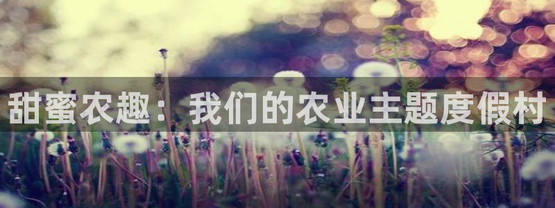 天辰娱乐咋样