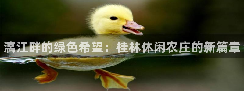 天辰娱乐总管年薪