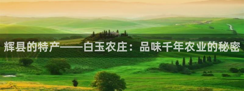 天辰娱乐2