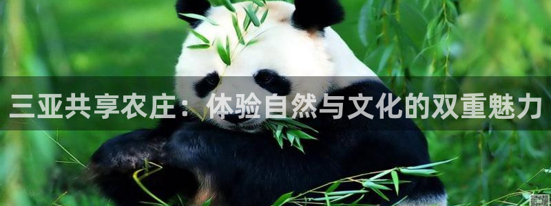 辰天娱乐用品