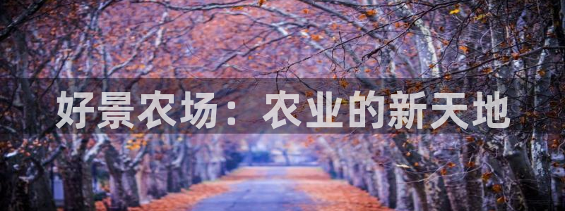 天辰娱乐