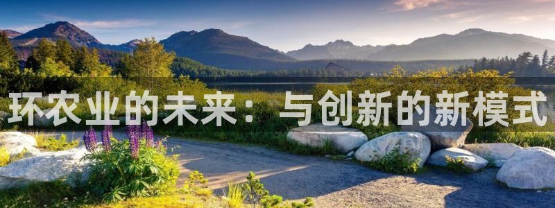 天辰娱乐 天辰平台