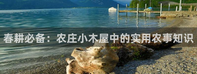 天辰平台娱乐