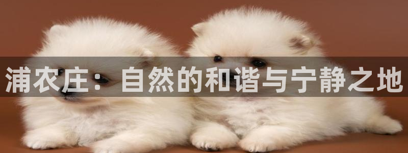 天辰娱乐维护