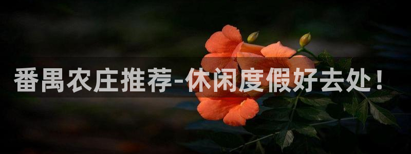 天辰app娱乐