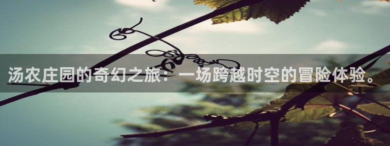 天辰娱乐44516