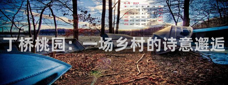 天辰娱乐2