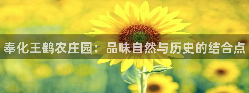 天辰娱乐扣钱