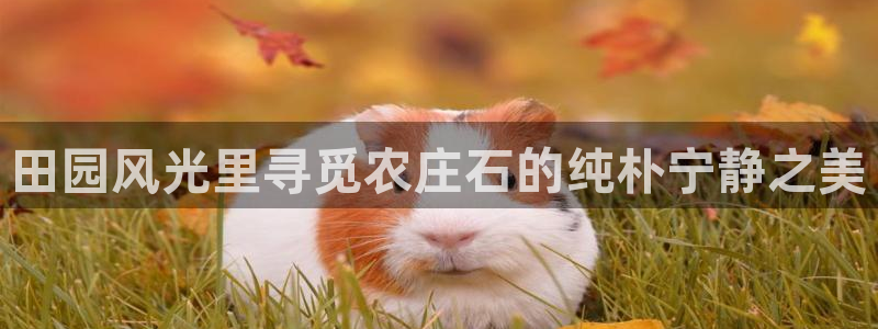 天辰天富娱乐
