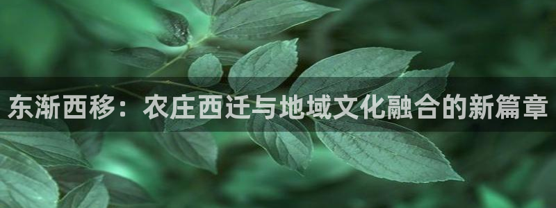 天辰娱乐海洋