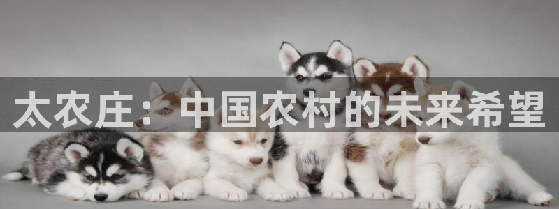 天辰娱乐娱乐注册