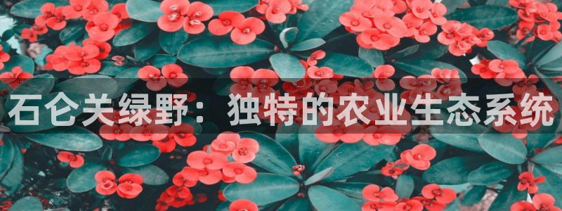 天辰娱乐客服