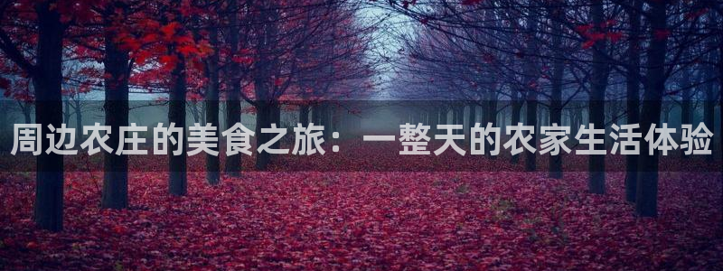 天辰娱乐元宝