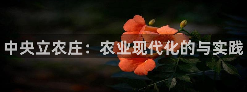 天辰娱乐代理