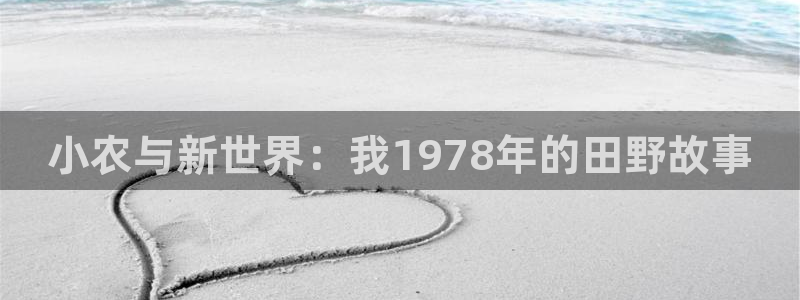 天辰娱乐557696