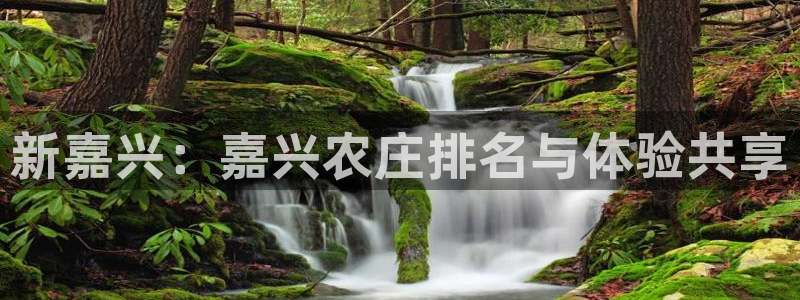 天辰线上娱乐