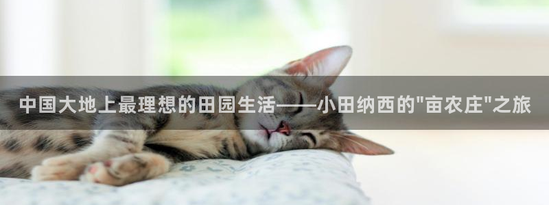 天辰娱乐开户