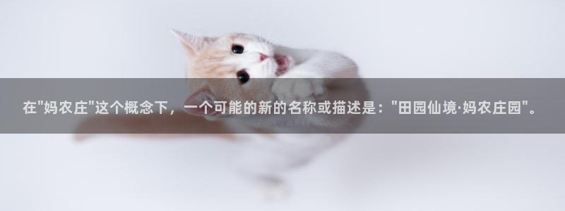 天辰娱乐在哪