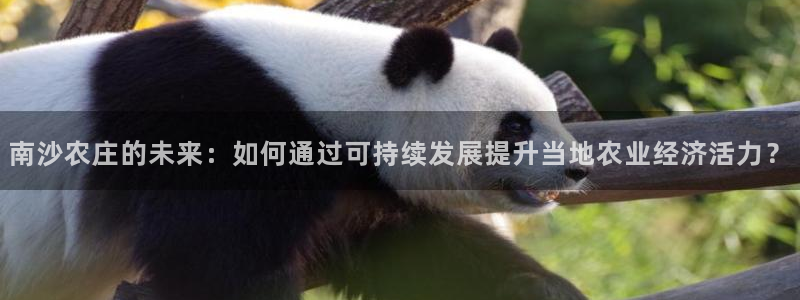 天辰娱乐代理