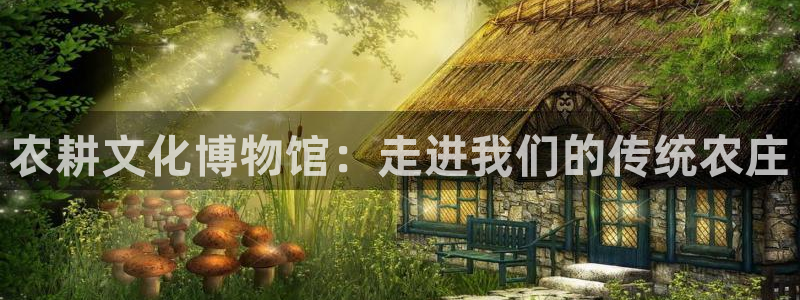 天辰娱乐 首选