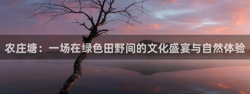 天辰娱乐平台入口