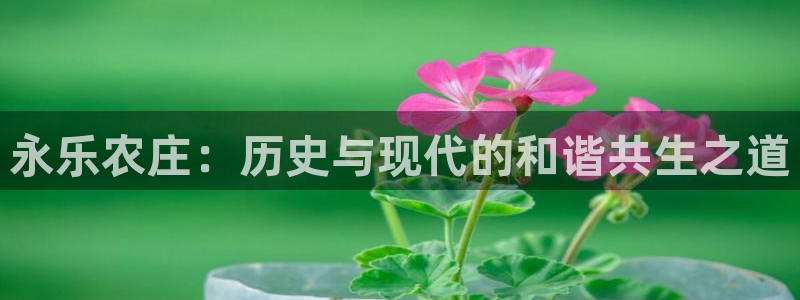 天辰娱乐咋样