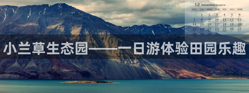 天辰娱乐总管