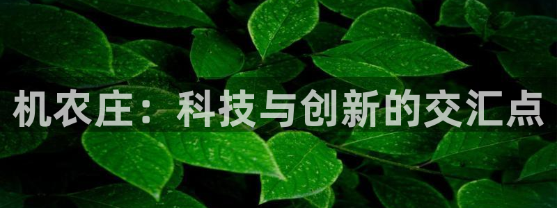 天辰娱乐主页