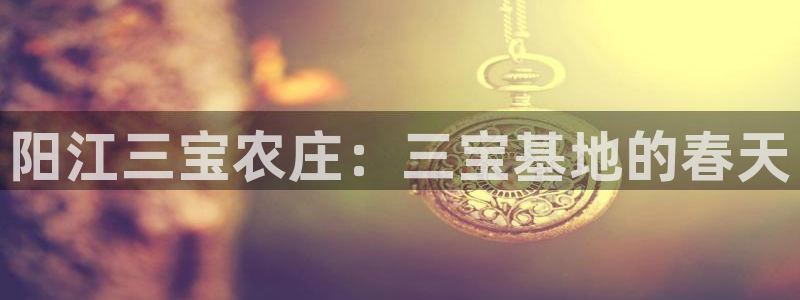 天辰娱乐小妹