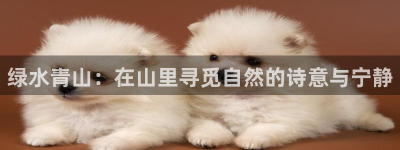 天辰娱乐557448
