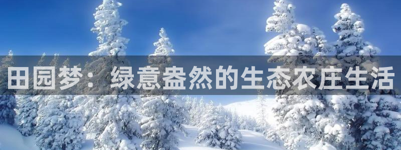 天辰彩票娱乐