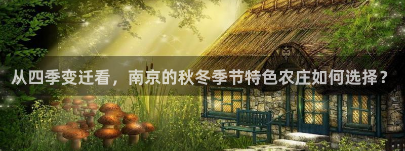 天辰娱乐白屏