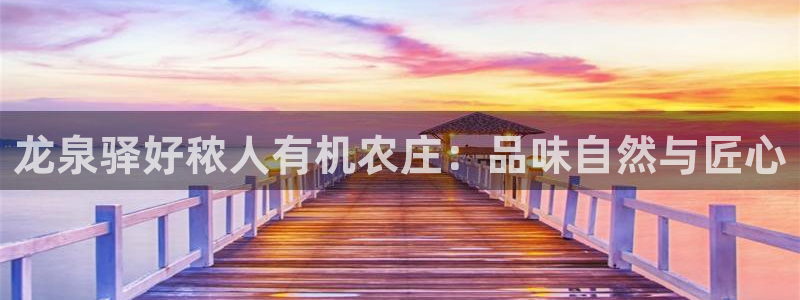 天辰娱乐1956
