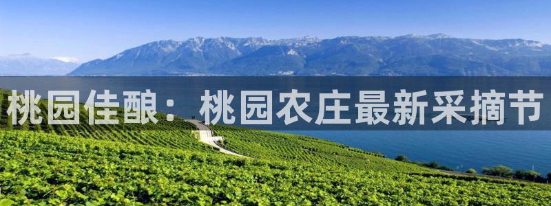 天辰娱乐待遇
