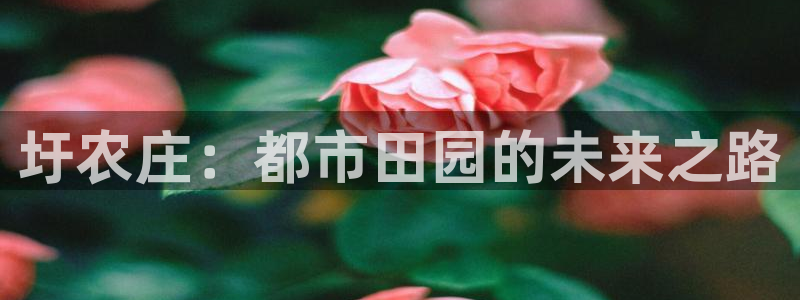天辰娱乐首选