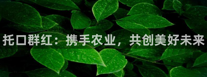 天辰娱乐1956