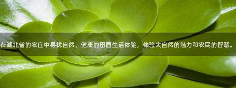 天辰娱乐鱼刺