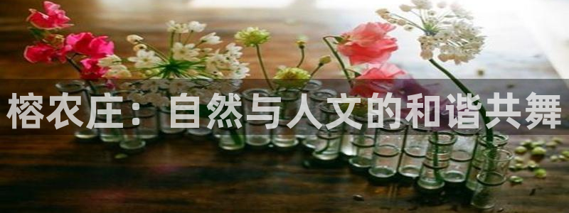 天富娱乐天辰娱乐