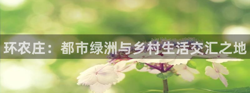 天辰娱乐上级