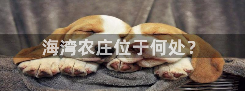 菲律宾天辰娱乐