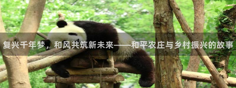 天辰说娱乐