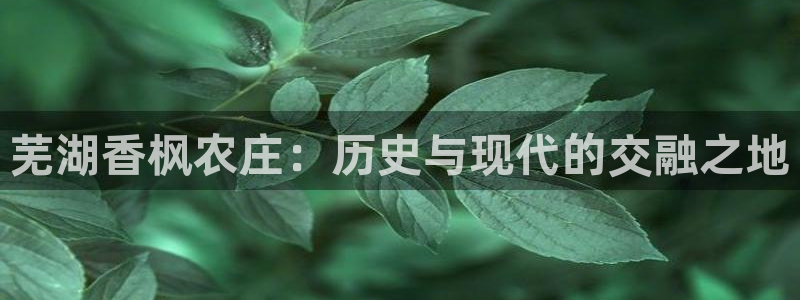 天辰娱乐登陆