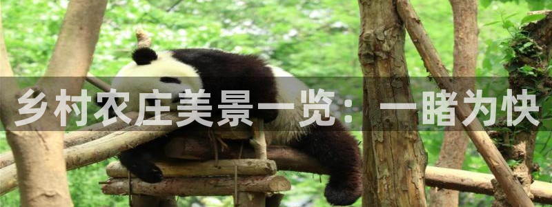 天辰娱乐平台
