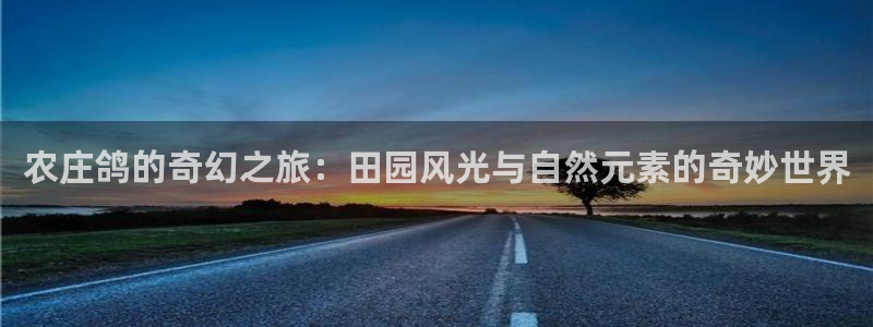 天辰娱乐APP下载