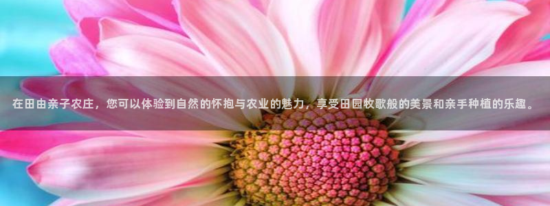 天辰娱乐咋样