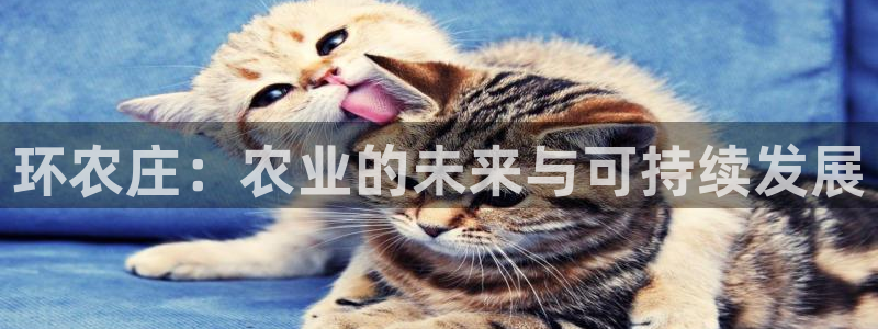 天辰娱乐39974神