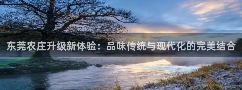 天辰娱乐招商