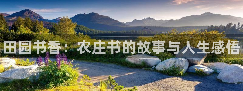 天辰娱乐地址