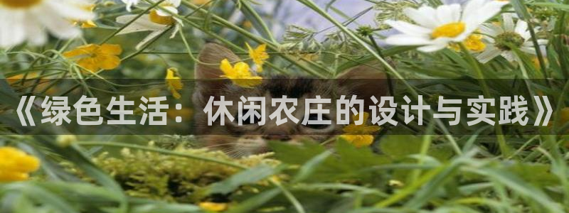 天辰娱乐台湾